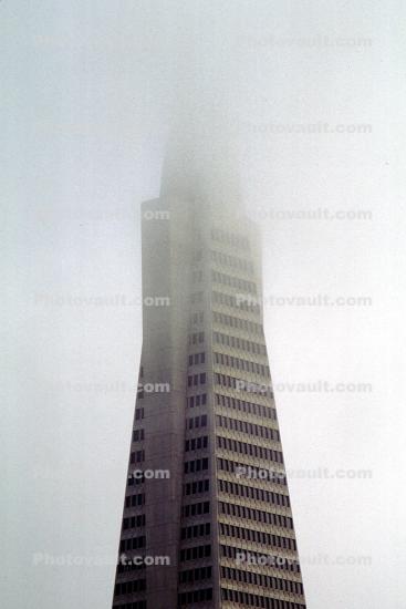 Transamerica Pyramid in the fog