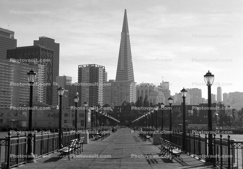 Transamerica Pyramid, Pier-7 San Francisco, The Embarcadero, highrise, building