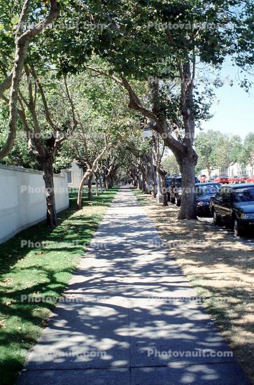 Bay Street sidewalk