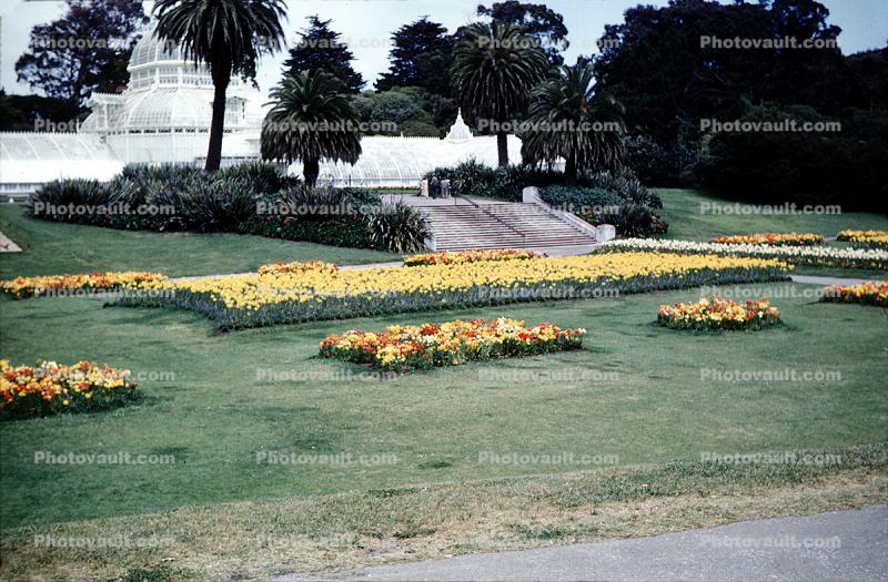 early 1950s, Conservatory Of Flowers, 1950s
