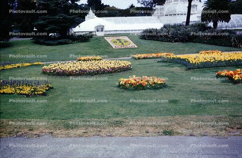 early 1950s, Conservatory Of Flowers, 1950s