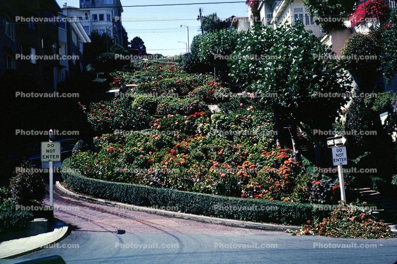 Lombard Street, October 1965, 1960s