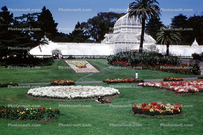 Conservatory Of Flowers, garden, lawn, flowers, trees, August 1966, 1960s