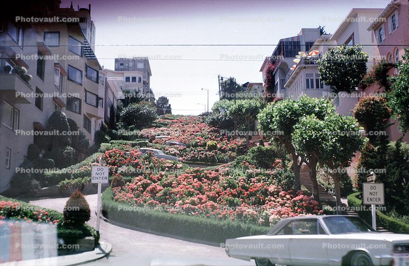 Lombard Street, Crookedest street in the world, June 1970, 1970s