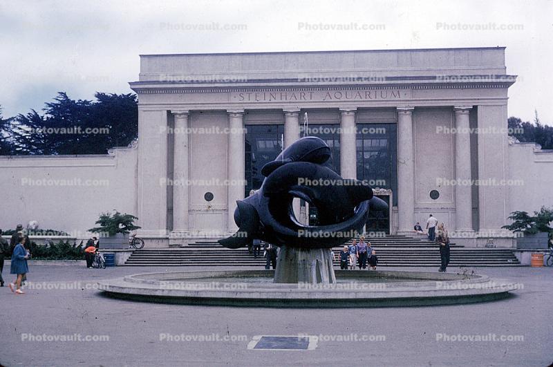 old Academy of Sciences, Bufano Sculpture, Steinhart Aquarium, July 1960, 1960s