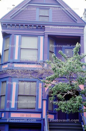 Purple home, house, building, residential, domestic, domicile, residency, housing