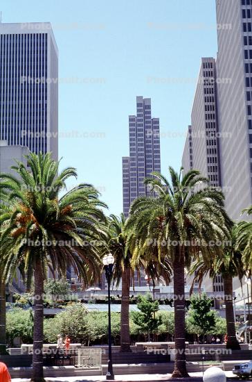 palm trees, Embarcadero Center, buildings