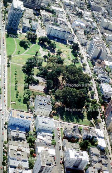 Lafayette Park, Clay Street, Pacific Heights, Pacific-Heights