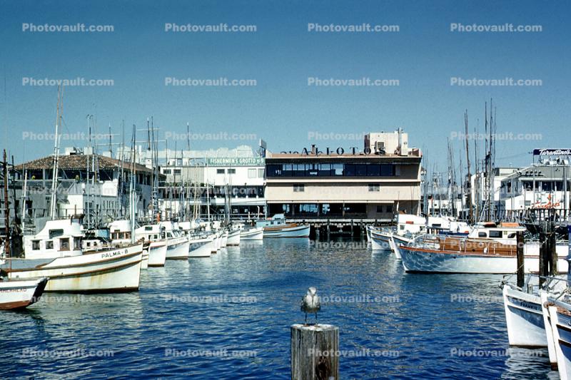 Aliotos, Boats, docks, 1959, 1950s