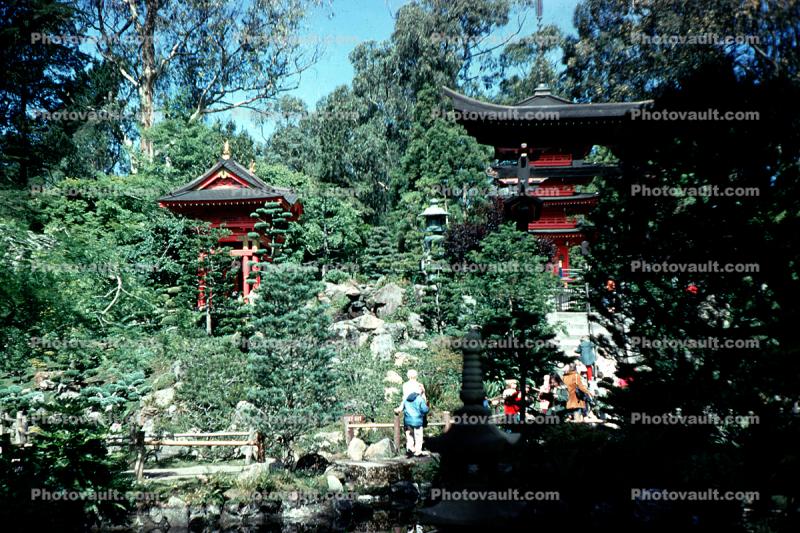 Hakone Japanese Tea Gardens, Pagoda, trees, May 1968, 1960s