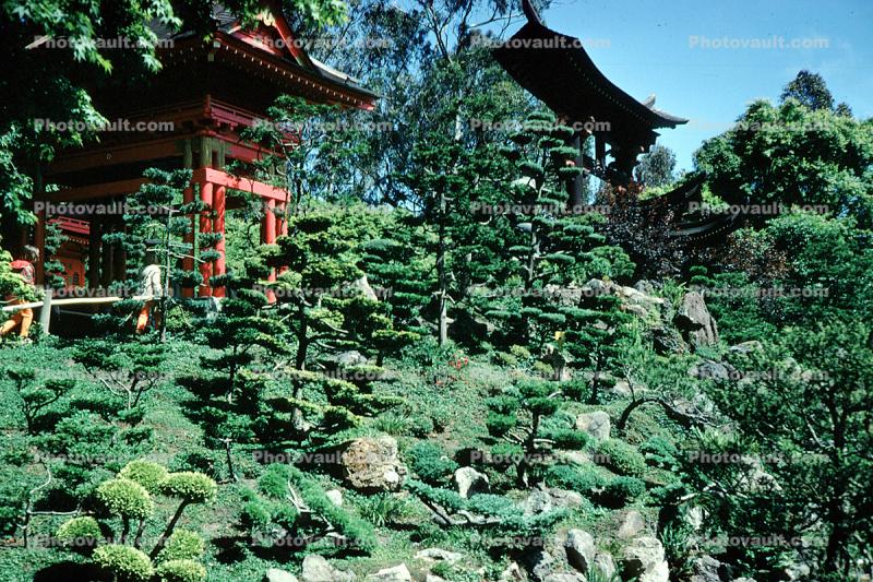 Hakone Japanese Tea Gardens, Pagoda, trees, May 1968, 1960s