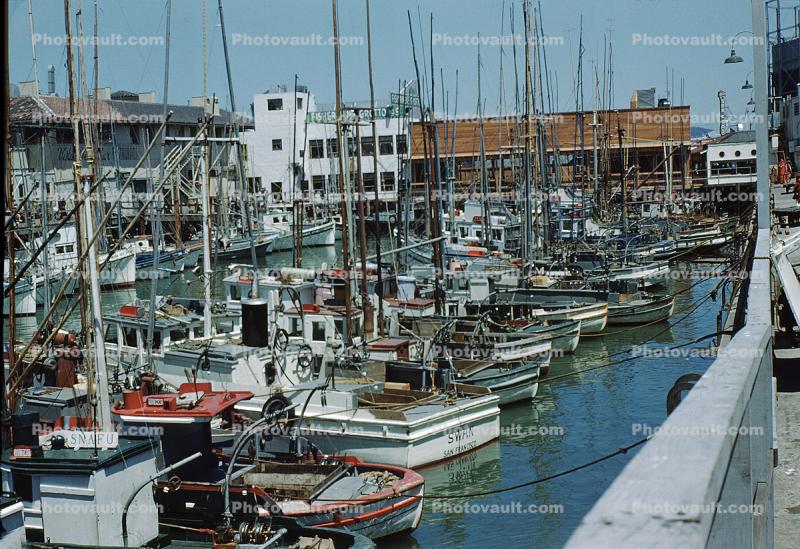 Packed with Fishing Boats, 1950s