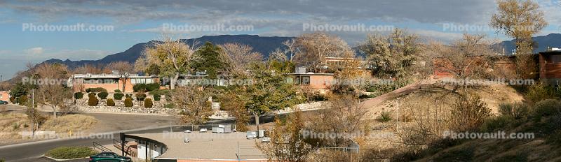 Trees and Homes, Albuquerque, Panorama