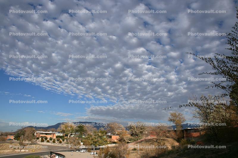 Clouds, Trees and Homes, Albuquerque