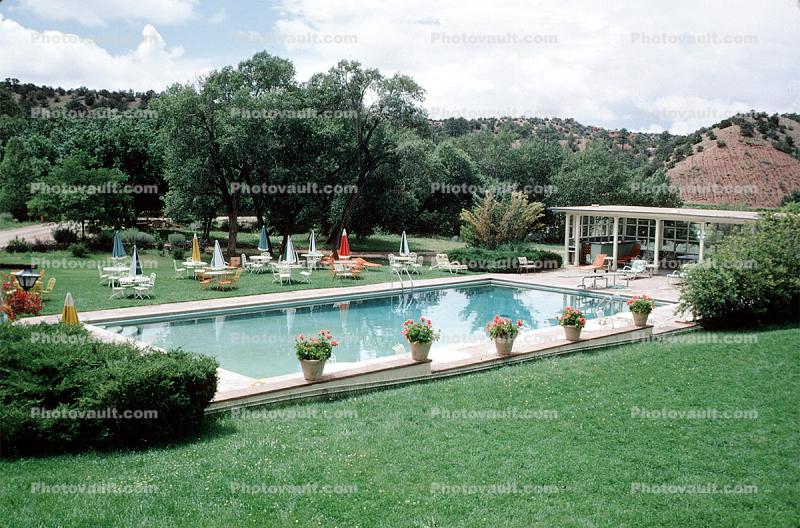Pool, Lawn, Trees, resort