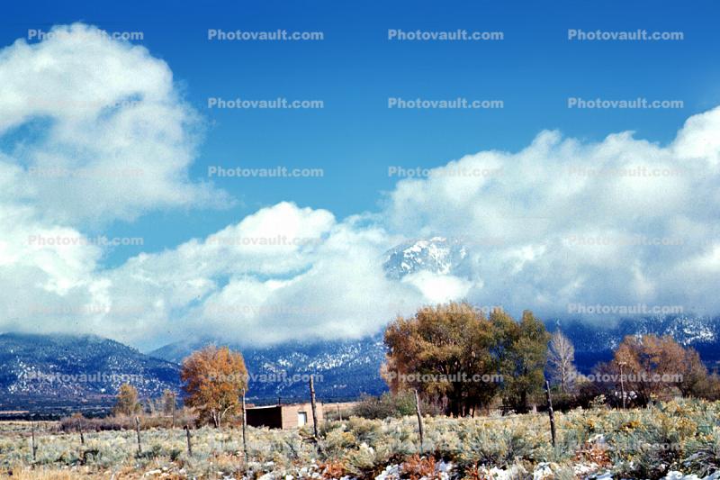 Clouds, Trees, Sky, Cumulus, Mountain Range, October 1966