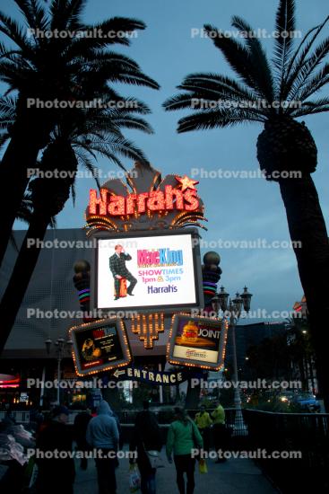 Harrah's Casino, Dusk, Evening, lights, Palm Trees
