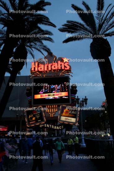 Harrah's Casino, Dusk, Evening, lights, Palm Trees