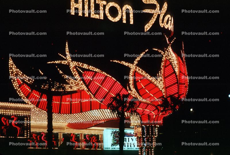 Hilton Flamingo Hotel, Night, Nighttime, Neon Lights
