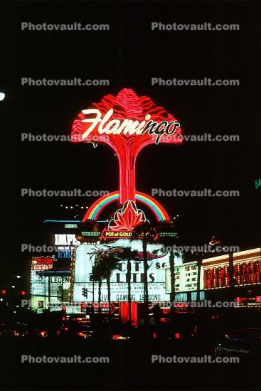 Flamingo Hotel, Night, Nighttime, Neon Lights