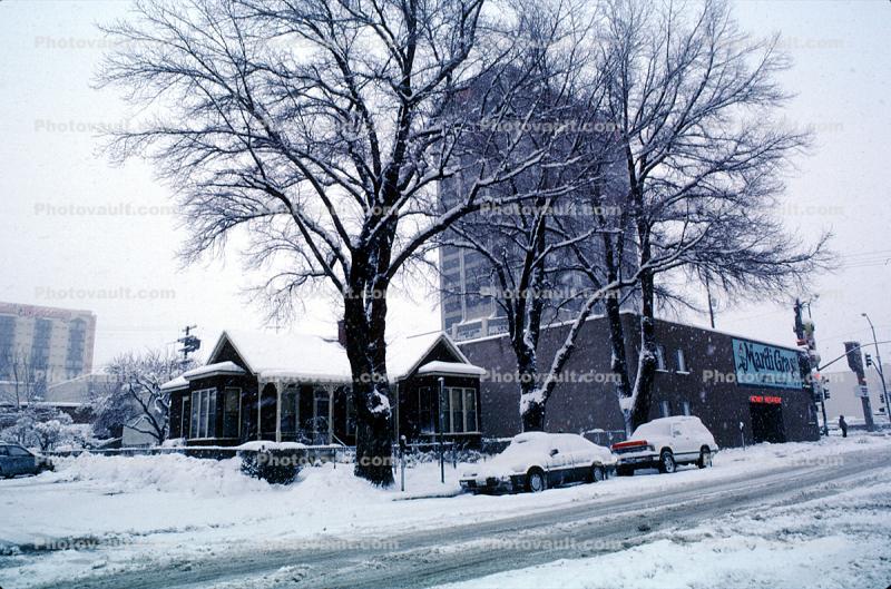 Mardi Gras building, Home, House, trees, cars, snow, blizzard, sleet, storm, Cold, Ice, Winter, Wintry, Cars, vehicles, Automobile
