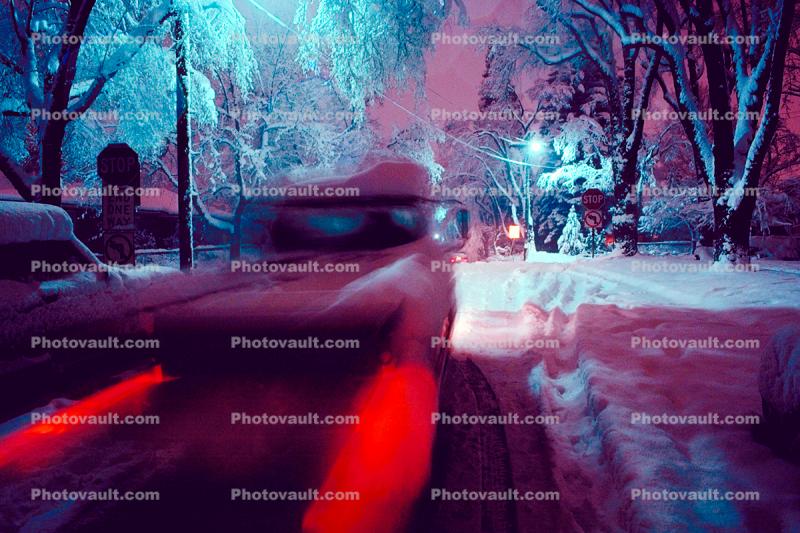 Twilight, Dusk, Trees Covered in Snow, snow storm, Nighttime, winter, car