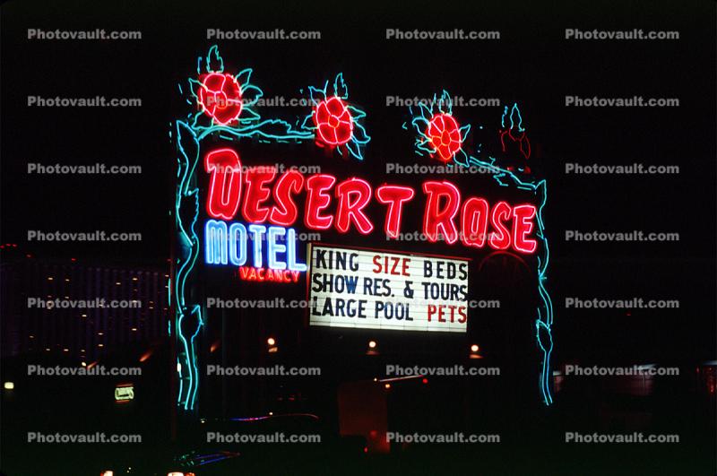 Desert Rose Motel, Casino, Night, Nighttime, Neon Lights