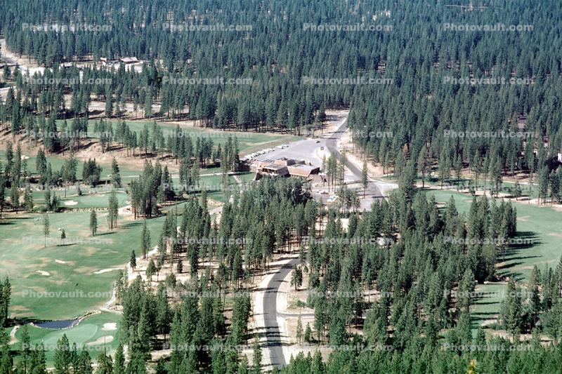 Lake Tahoe area, forest, trees, highway, road, roadway
