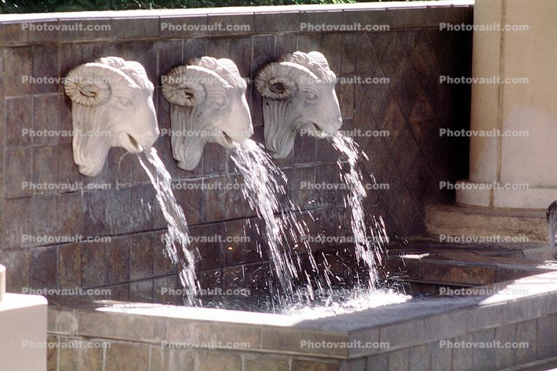 Water Fountain, aquatics, Goats Head, Rams, Sahara