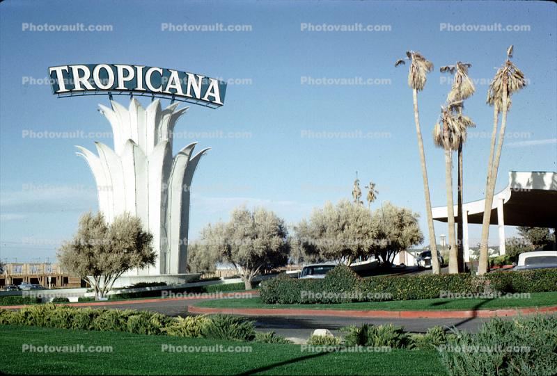 Tropicana, Hotel, Casino, palm trees, 1963, 1960s