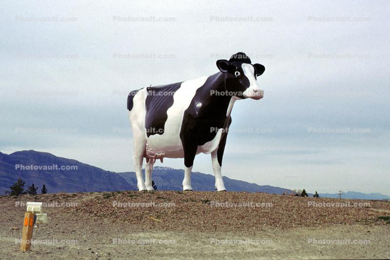 Big Dairy Cow, Amargosa Valley