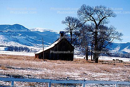 Barn, tree, fields, cold, ice, snow, mountains