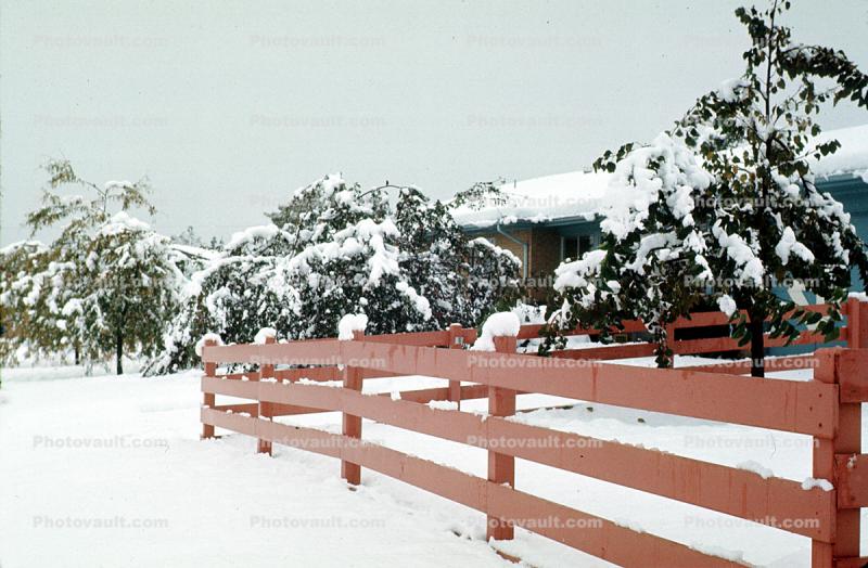 Fence, trees, snow, Wheat Ridge, Home, House, domestic, building