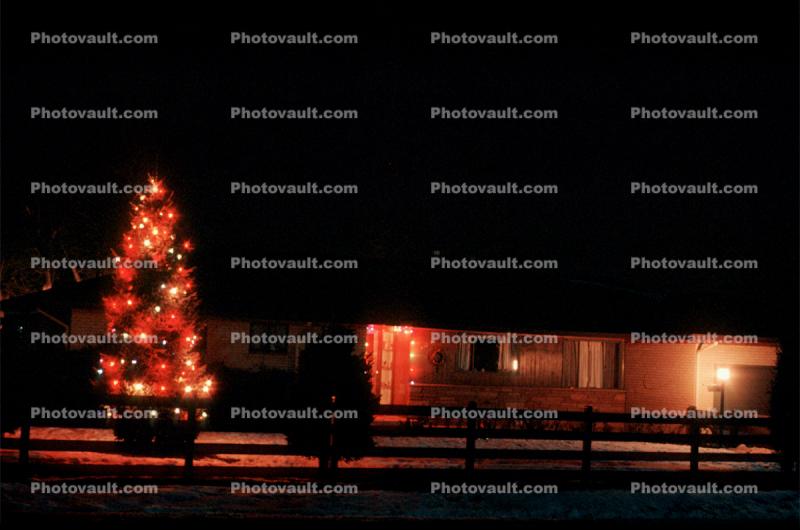 Christmas Tree, Home, House, Wheat Ridge, Colorado, domestic, building