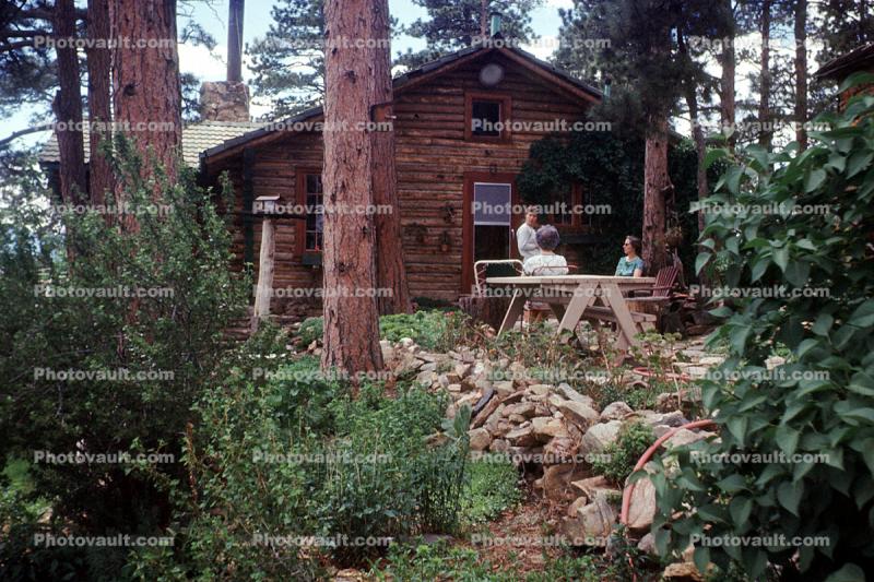 log cabin, birdhouse, Home, House, domestic, building