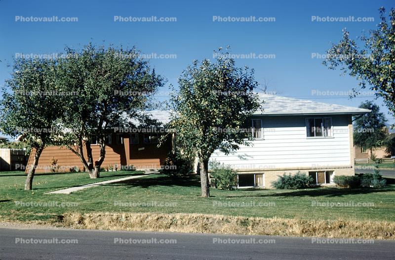 Front Yard, trees, summertime, Home, House, domestic, building, 3955 Garland Street, Wheat Ridge