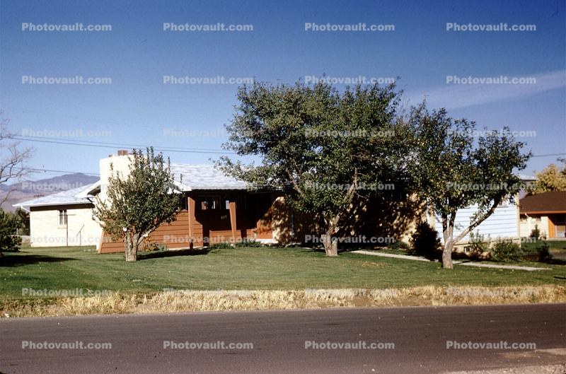 Front Yard, trees, summertime, Home, House, domestic, building, 3955 Garland Street, Wheat Ridge