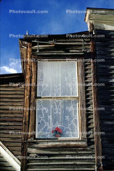 Lace Curtain, flower, Window, historic district, buildings, Saint Elmo Colorado, Ghost Town, Chaffee County, September 1994