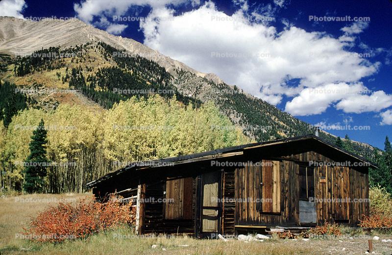 Home, house, buildings, wood, trees, mountain, clouds, Winfield, Chaffee County, ghost town