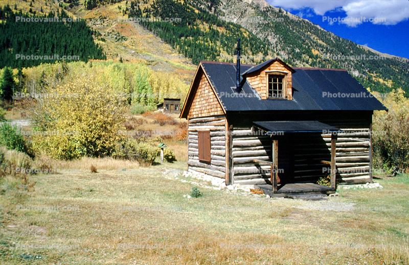 Home, house, log cabin, wood, trees, forest, mountain, Winfield, Chaffee County, ghost town