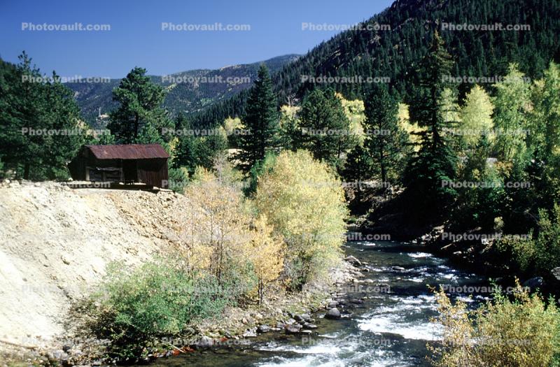 Aspen Trees, forest, nature, river, home, house, Idaho Springs Colorado