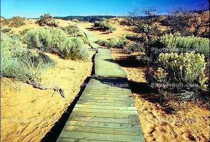 path, walkway, boardwalk, Coral Pink Sand Dunes State Park