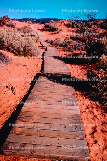 path, walkway, boardwalk, bush, Coral Pink Sand Dunes State Park