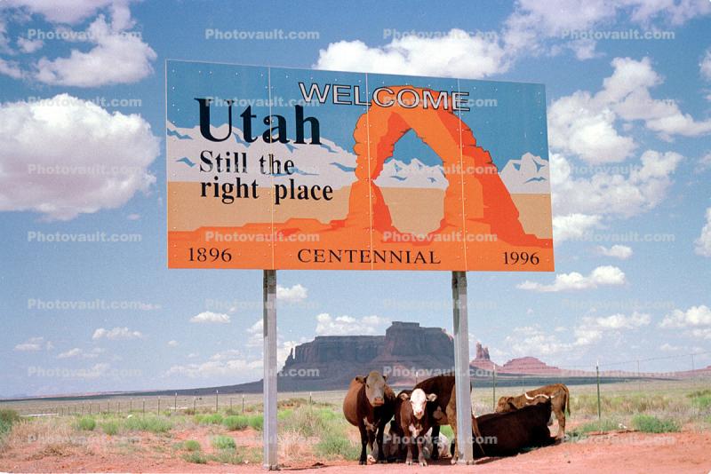 Welcome to Utah, Border Billboard, Cattle, Cows
