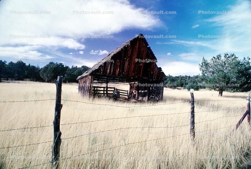 barn, wood, wooden, outdoors, outside, exterior, rural, building, barbed wire fence, grass, summer