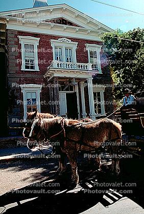 Stage Coach, Cochise County Courthouse, Horses, Building, Tombstone