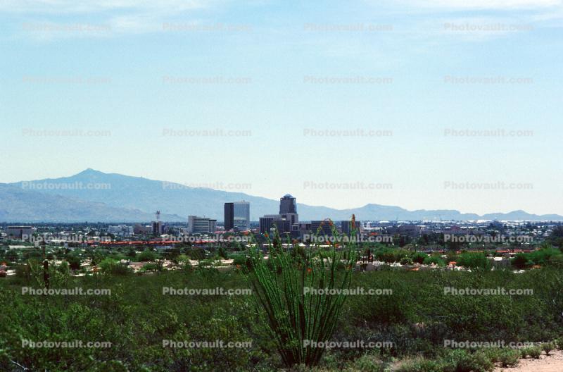Cityscape, Skyline, Building, Skyscraper, Downtown, Tucson