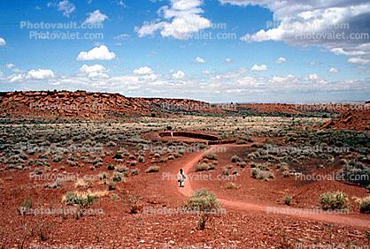 Path, Desert Shrub, Wupatki National Monument, ruins