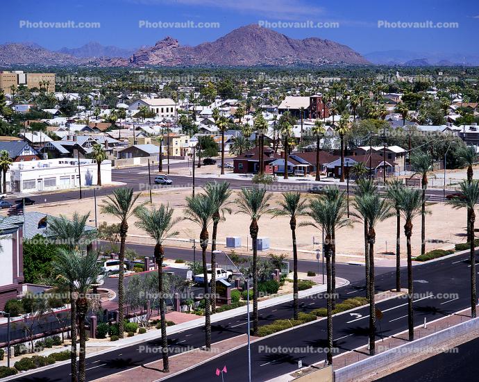 Buildings, Palm Trees, Street, homes, Camelback Mountain