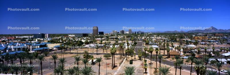 Panorama, Buildings, Palm Trees, Street, homes, skyline, cityscape